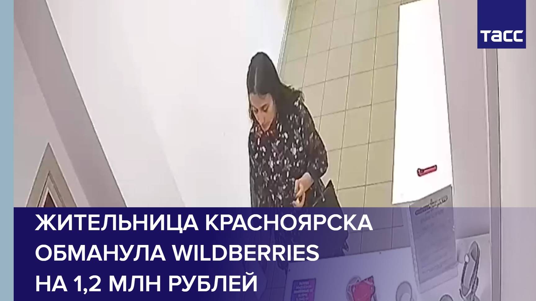 Жительница Красноярска обманула Wildberries на 1,2 млн рублей