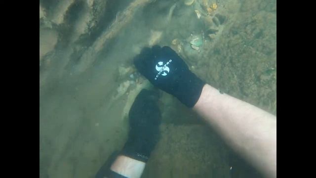 Found Apple Watch, Oakleys & more - Scuba diving Coulter's Bridge