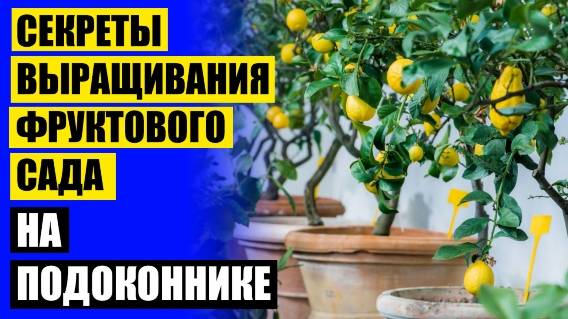 ❕ Карликовые плодовые деревья для подмосковья купить 🔵