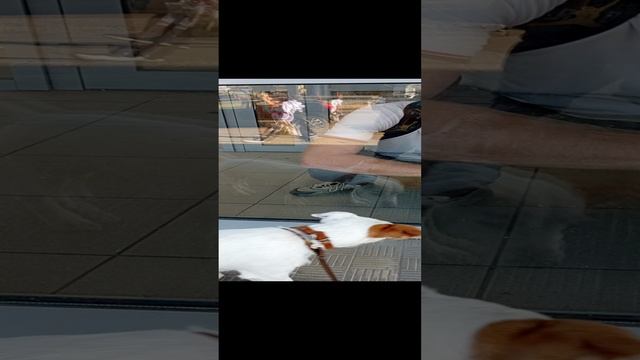 Вот задачка!Как к ,,папе,, попасть- то?