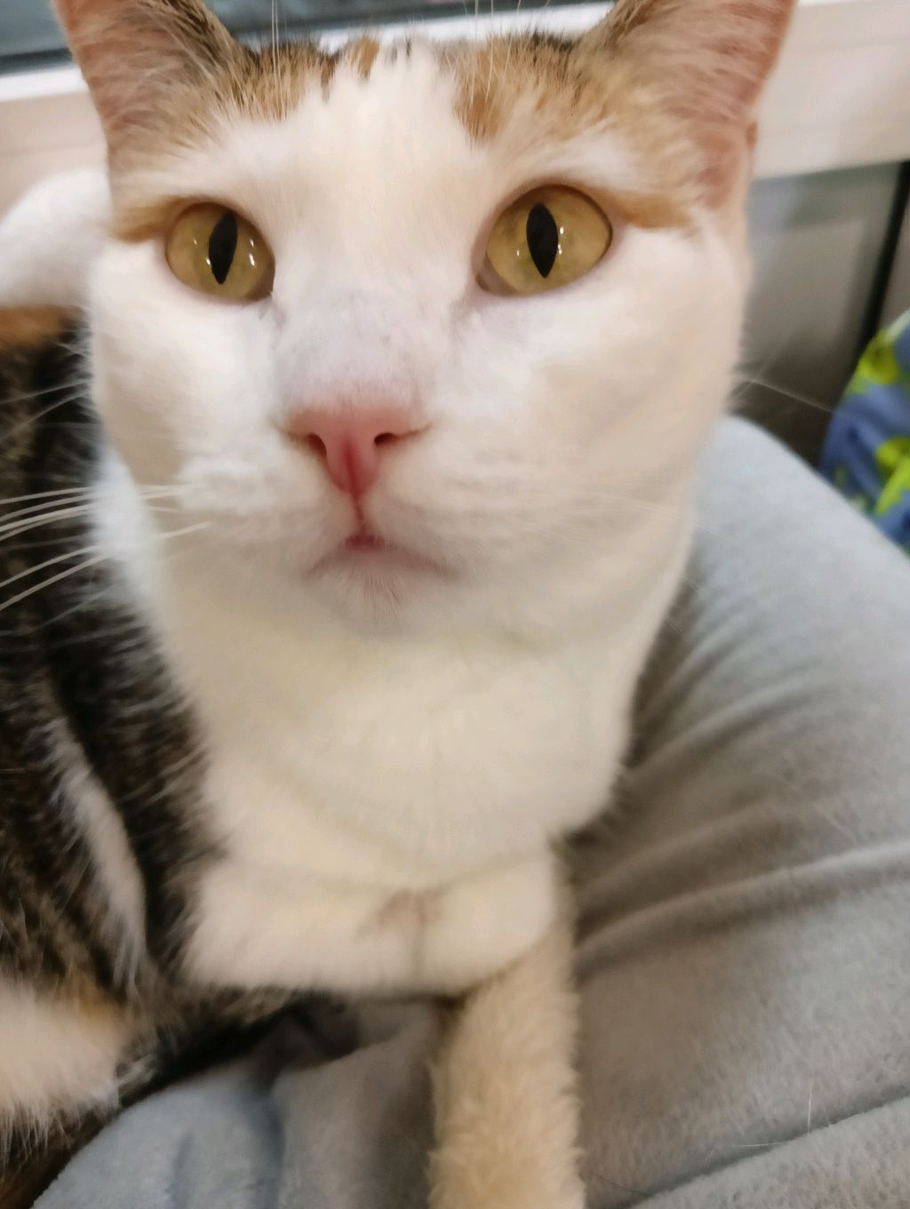 чо то делаем:3