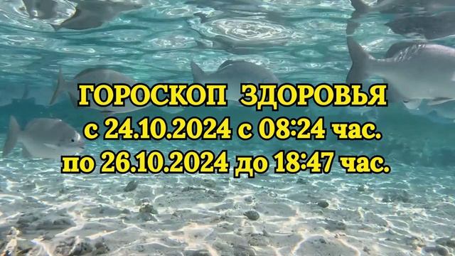 "ГОРОСКОП ЗДОРОВЬЯ с 24 по 26 ОКТЯБРЯ 2024 года!!!"