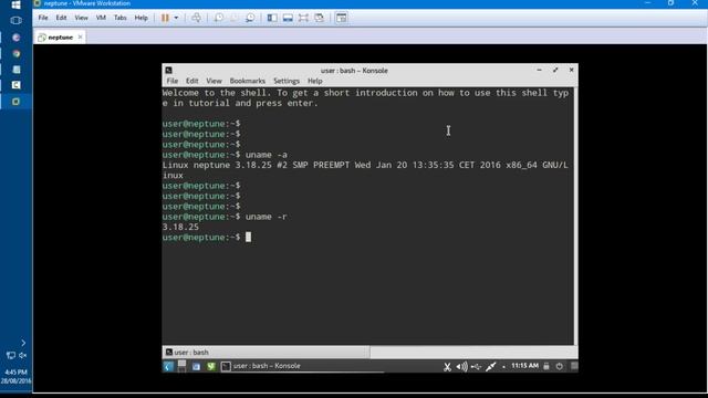 Neptune overview and runs live  in vmware workstation