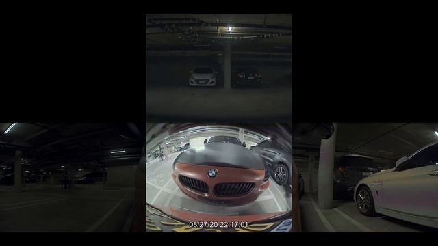 Tesla sentry mode theft attempt