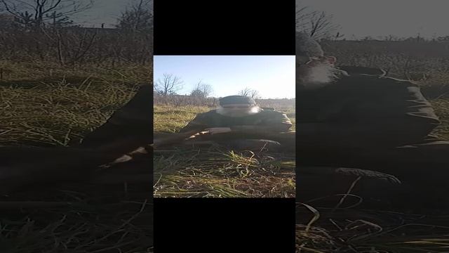 21.10.24 блаженная картина