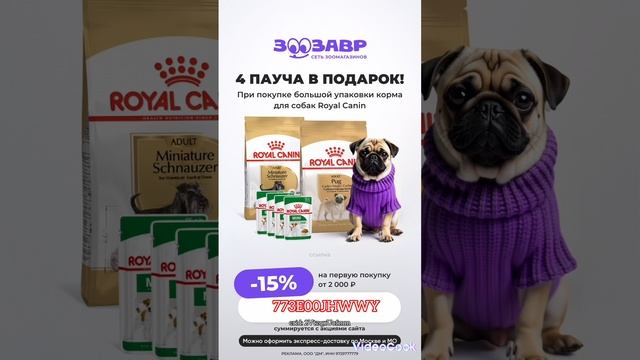 А чем вы кормите своих котеек?