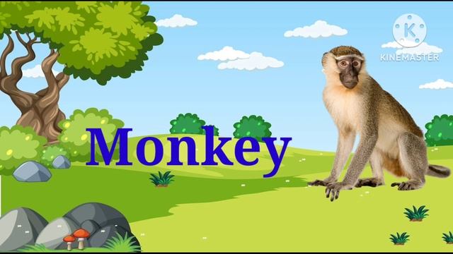 A for Apple, B for Ball, C for Cat, nursery class teaching | nursary full course ,Alphabet ,abc son