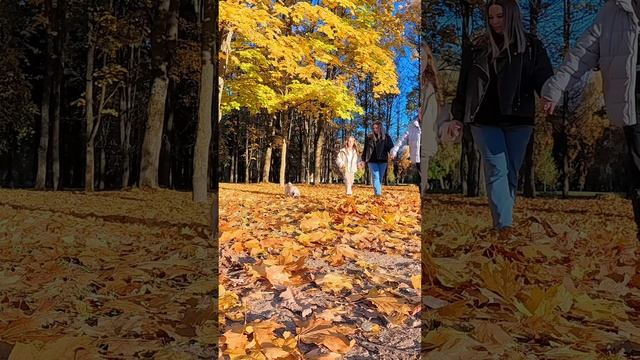 Что такое осень это радость радость, от чарующей природы 🍂🍁🌞