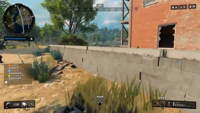 Window break bug