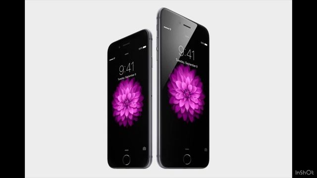 8 things you (PROBABLY) didn’t know about Apple!