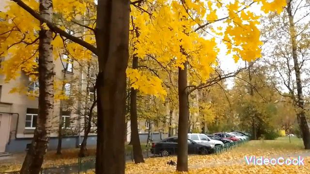 Золотая осень