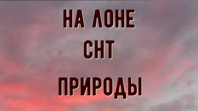 Завтра. Стихи и видеомонтаж мои. Музыка Игоря Двуреченского