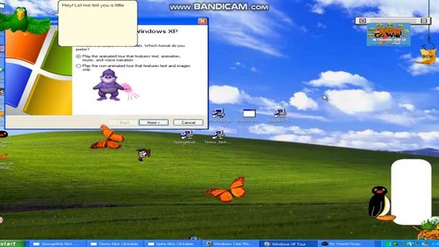 Destroying Windows XP With Viruses