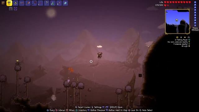 We do a little off camera grinding|Terraria