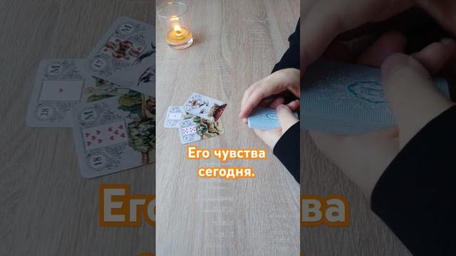 Консультирую по всем вопросам в Telegram +79019774588