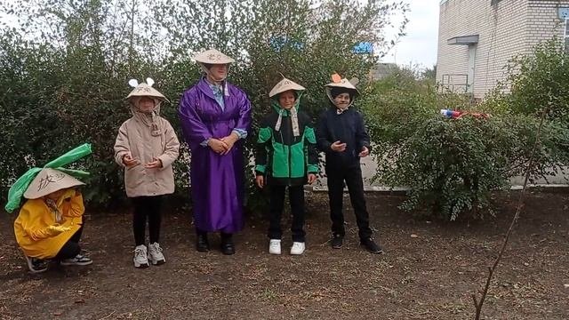 Китайская репка