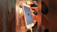 Замена экрана iPhone se Тюмень