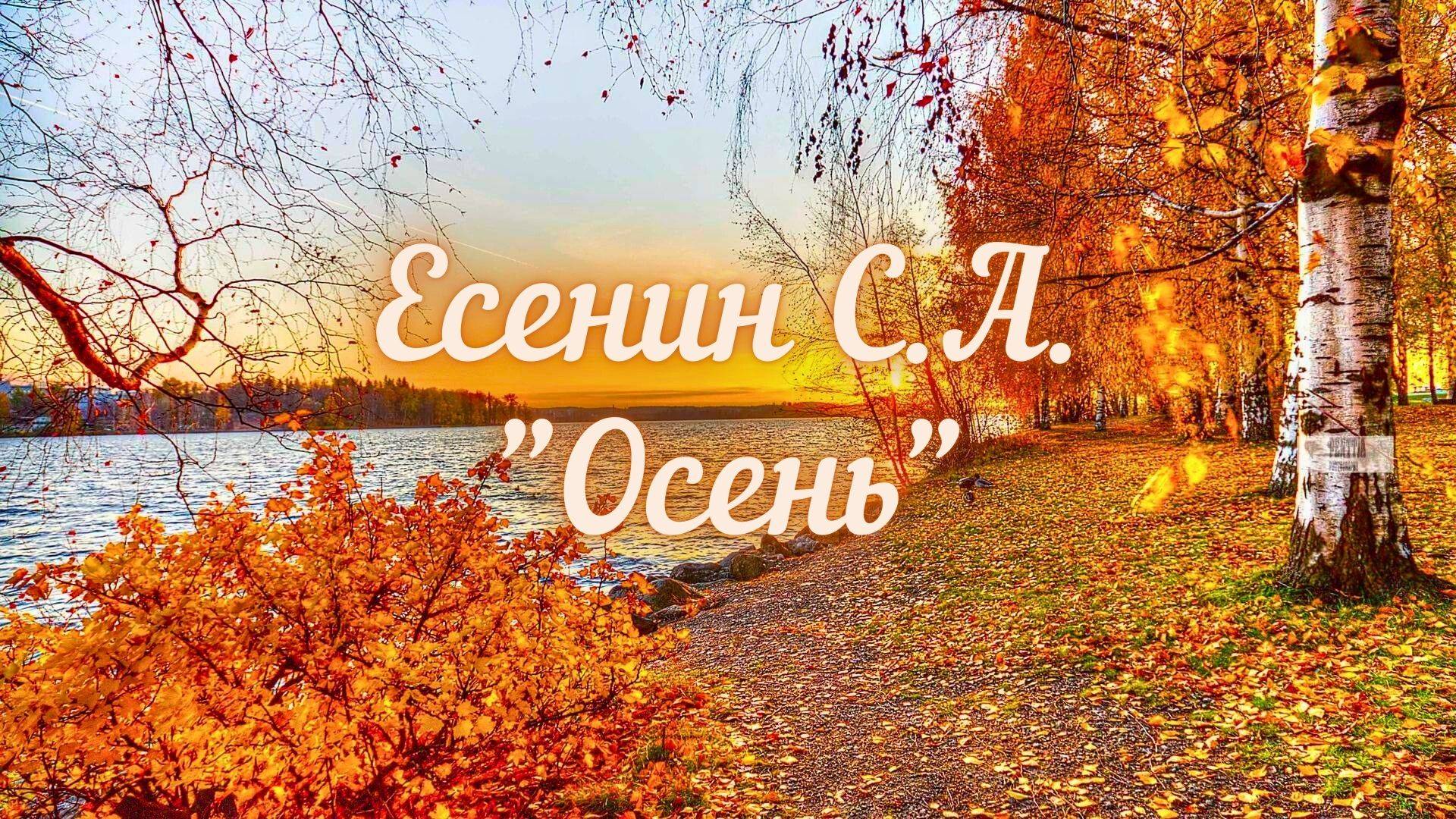 Есенин С.А. Осень (Тихо в чаще можжевеля по обрыву...)
