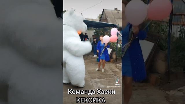 Команда Хаски КЕКСИКА