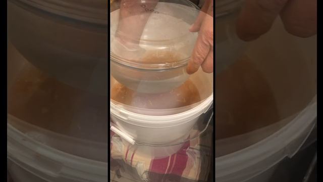 Квашеная капуста
