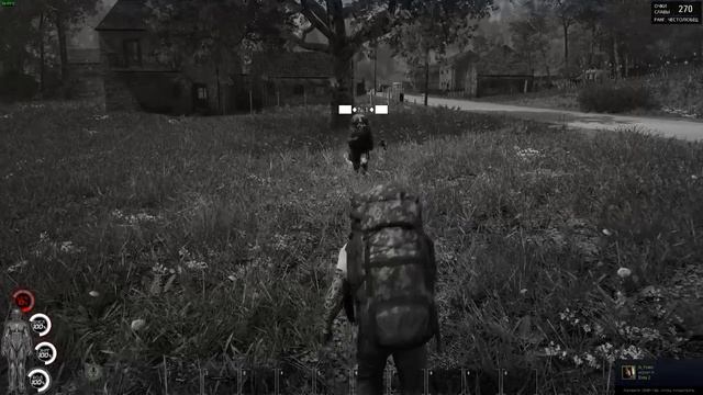Scum online