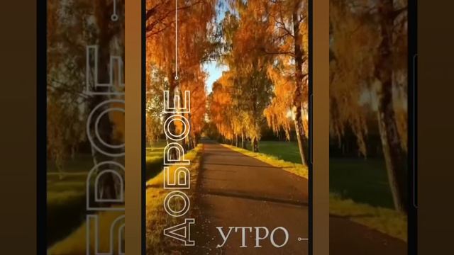 Доброе утро #доброеутро #благодарность