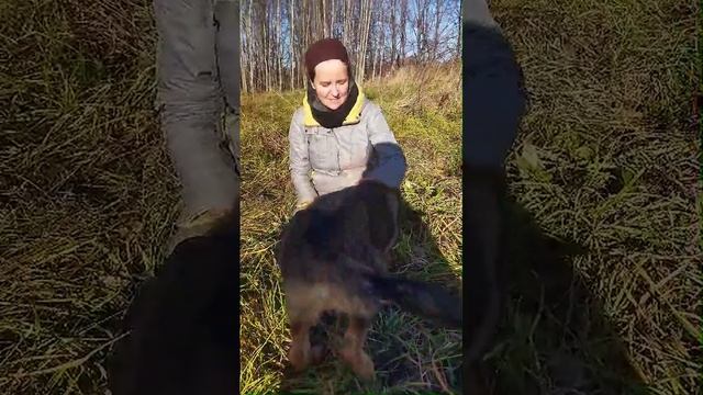21.10.24 укрощение строптивого пса