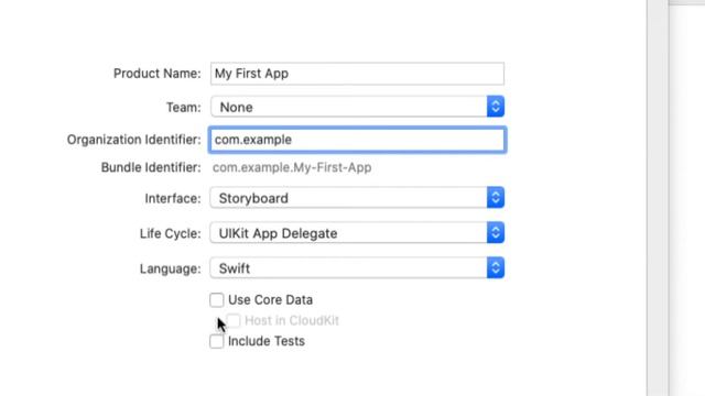 What is iOS Simulator