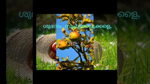 Malayalam Good Morning Wishes Greetings Questions Saying Ecards Images Photos Status #2