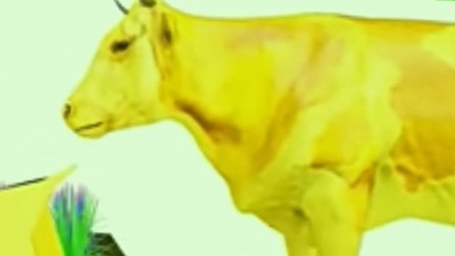 Cow cartoon | Colors and shapes | Gayia meri gayia | Nakooo kids tv