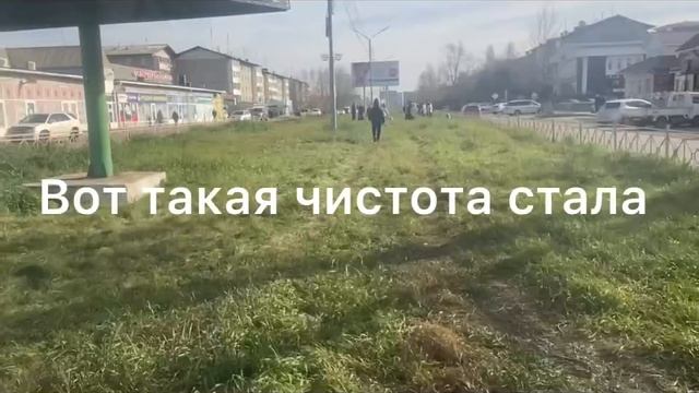 «Золотая молодежь» Наша первая уборка