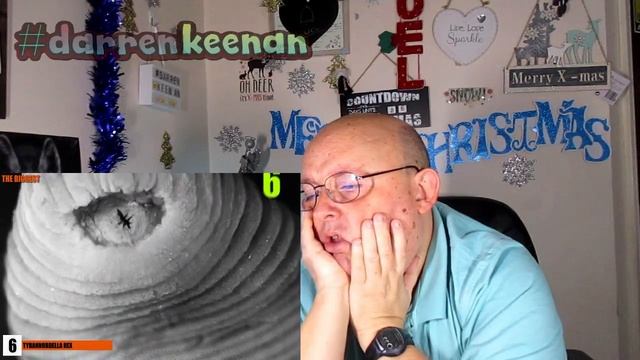 🎅 Dazzlers Life 🎄Insects that get under your skin Reaction Vlog #1
