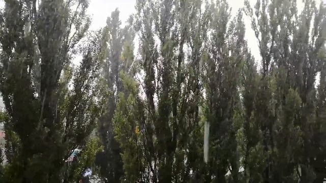 Погода в Киеве.