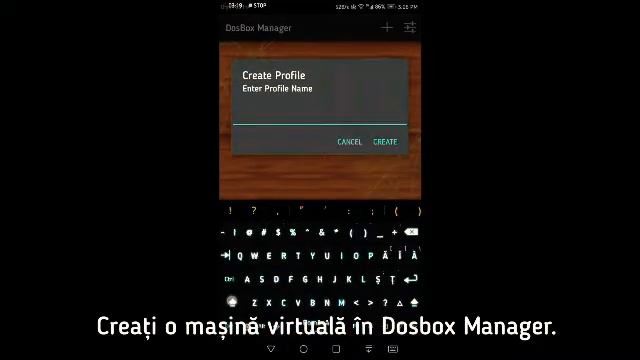 Windows 3.1 Dosbox