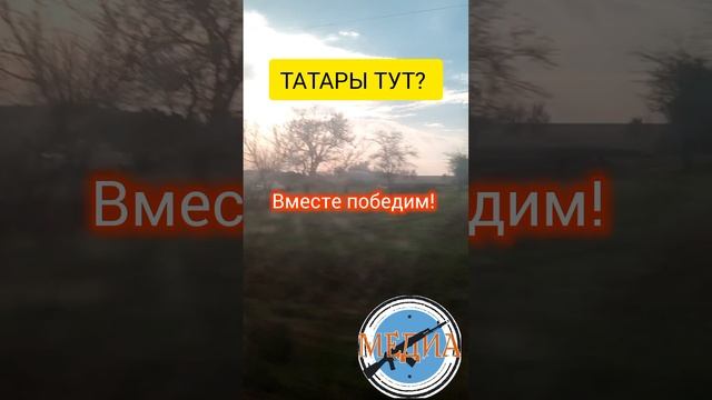 Татарские войны на СВО