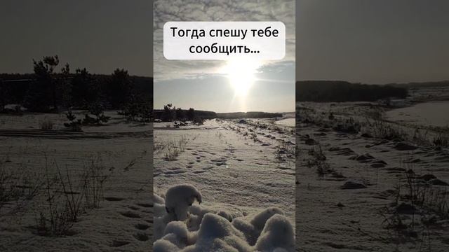 Ну что, уже ждешь? #winter #зима #природа #nature #весна #spring