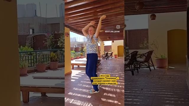 VID_288331003_094347_759