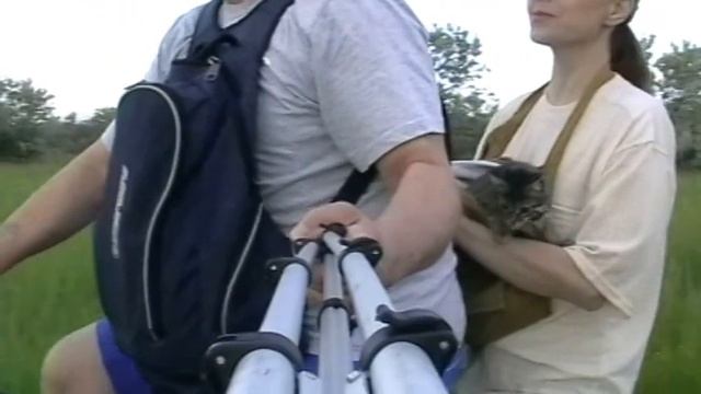 двое на велосипеде и кот