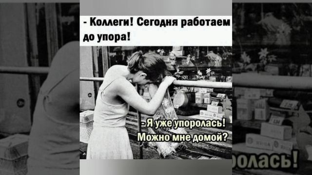 Юморист. Часть 5.😹