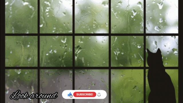 RAIN OUTSIDE THE WINDOW | THUNDERSTORM NOISE | LOOK AROUND