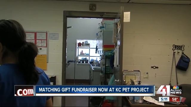 KC Pet Project creates Roadrunner Fund to help other animals