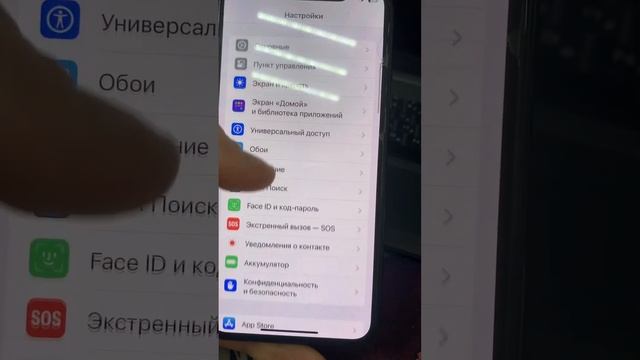 11 января 2024 г.