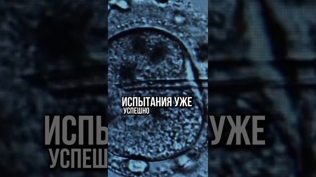 Робот вынашивает эмбрионы в искусственной матке
