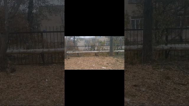 Пустошь челябинска