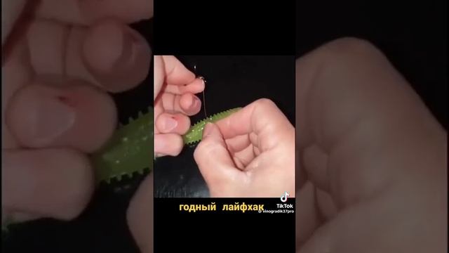 советы для рыбалки