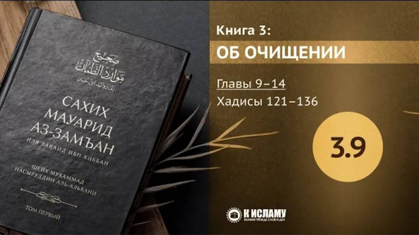 Главы 3.9–3.14. Порядок омовения. Хадисы 121–136. Сахих Мауарид аз-Замъан. Книга об очищении.