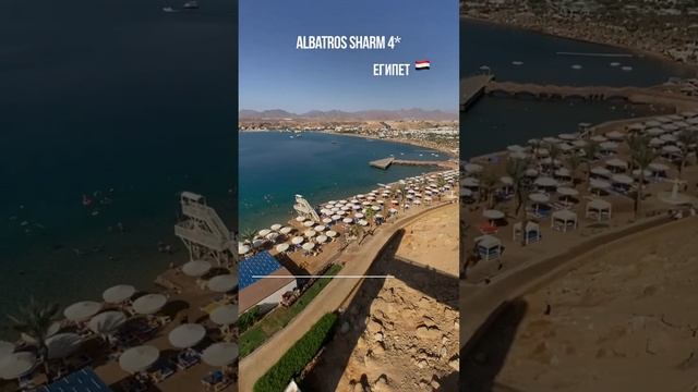 Египет. Albatros Sharm (Ex. Beach Albatros Sharm) 4