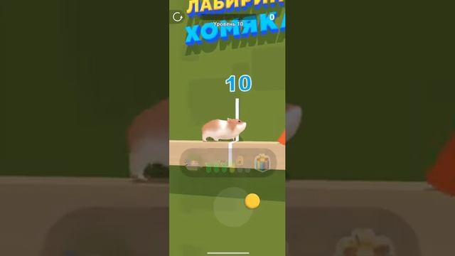 Hamster Maze - Gameplay  All Levels 9 - 10  Max Level (Android, iOS)