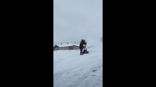 снегоуборщик Patriot PS-601, техника  🔥(обзор, отзыв, немного об эксплуатации), чутка о баньке...