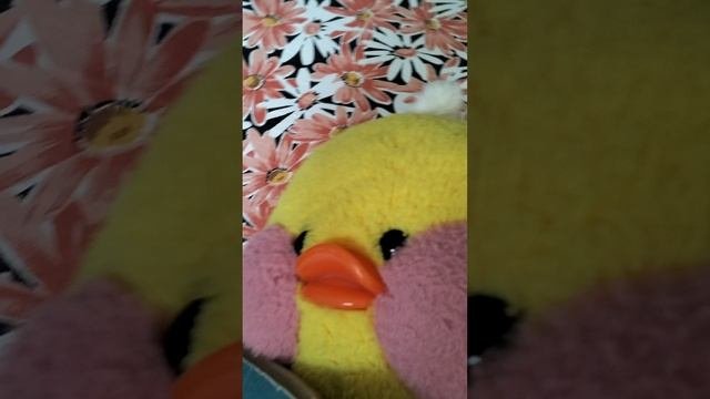 Утка кряква 🦆🦆🦆🦆